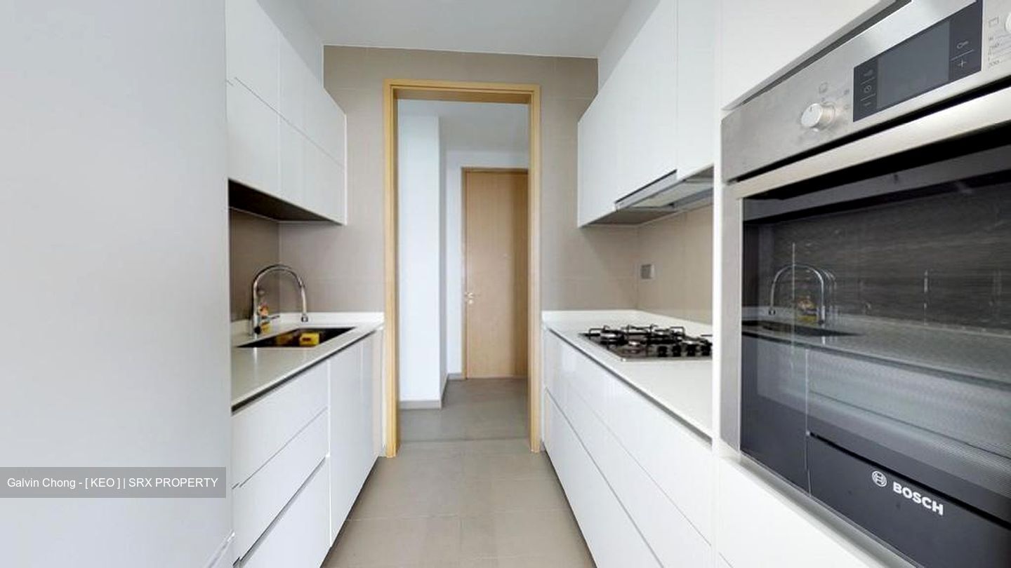 Skyline Residences (D4), Condominium #556390601